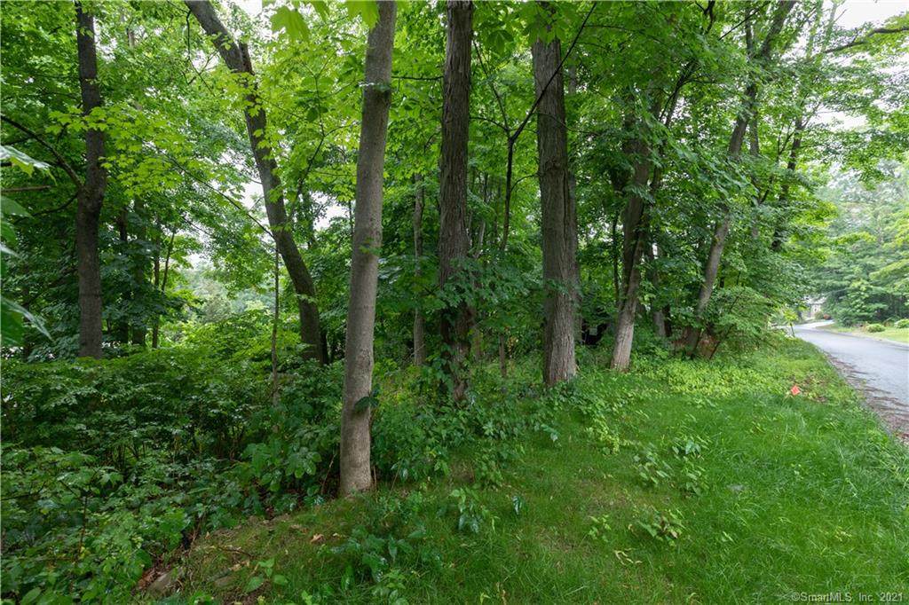 0 Lee Farm Drive - Photo 1