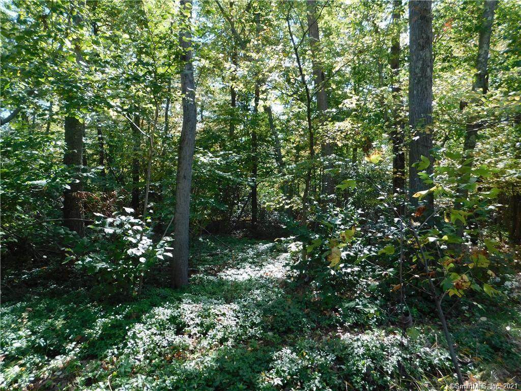 00 Plains Road - Photo 1