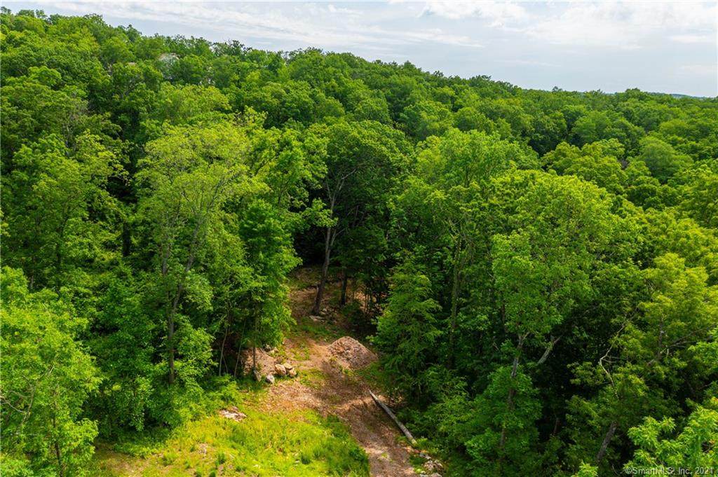 51 40 Acre Mountain Road - Photo 1