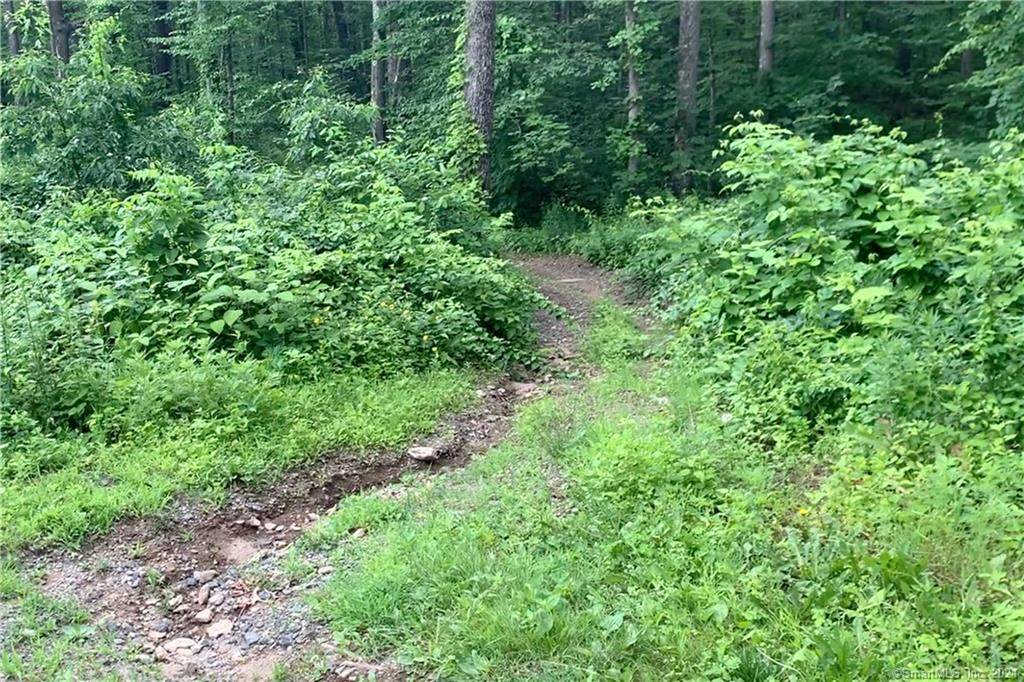 A Parker Road - Photo 1