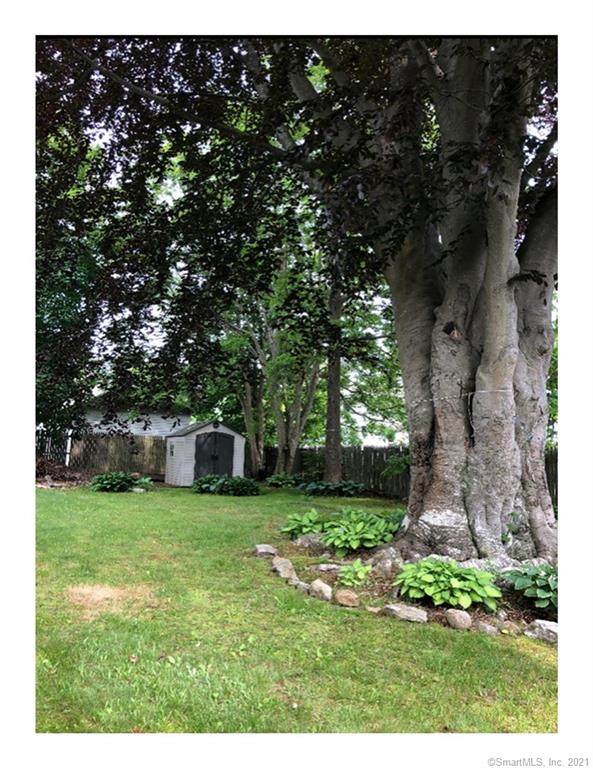 65 Park Street - Photo 1