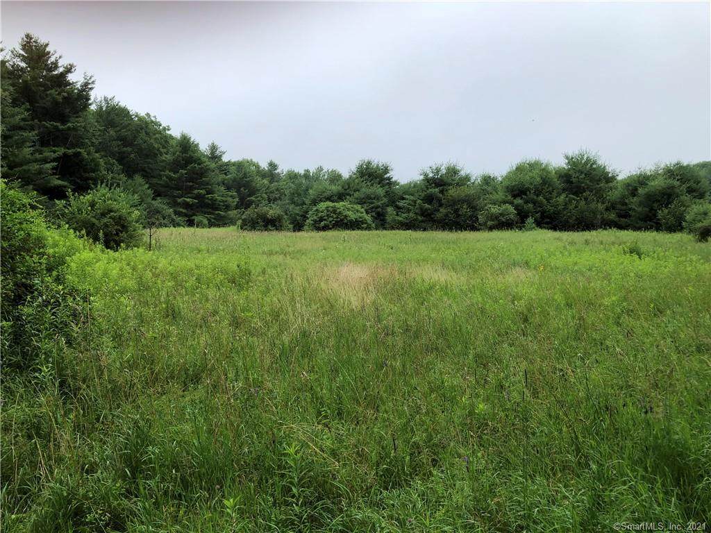 370 Lovers Lane - Photo 1