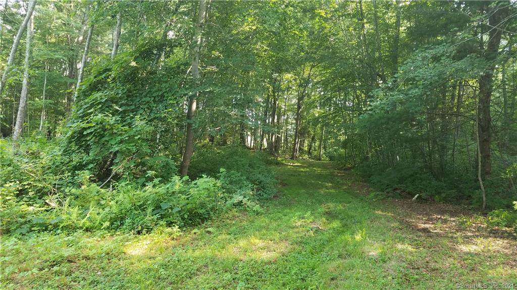 287 Boston Post Road - Photo 1