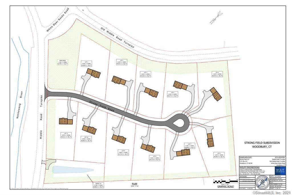 Lot 3 Strong Field Road - Photo 1