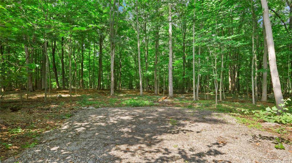 0 June Lot 2 Road - Photo 1