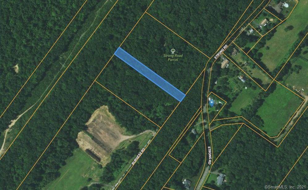 163 Strong Road - Photo 1