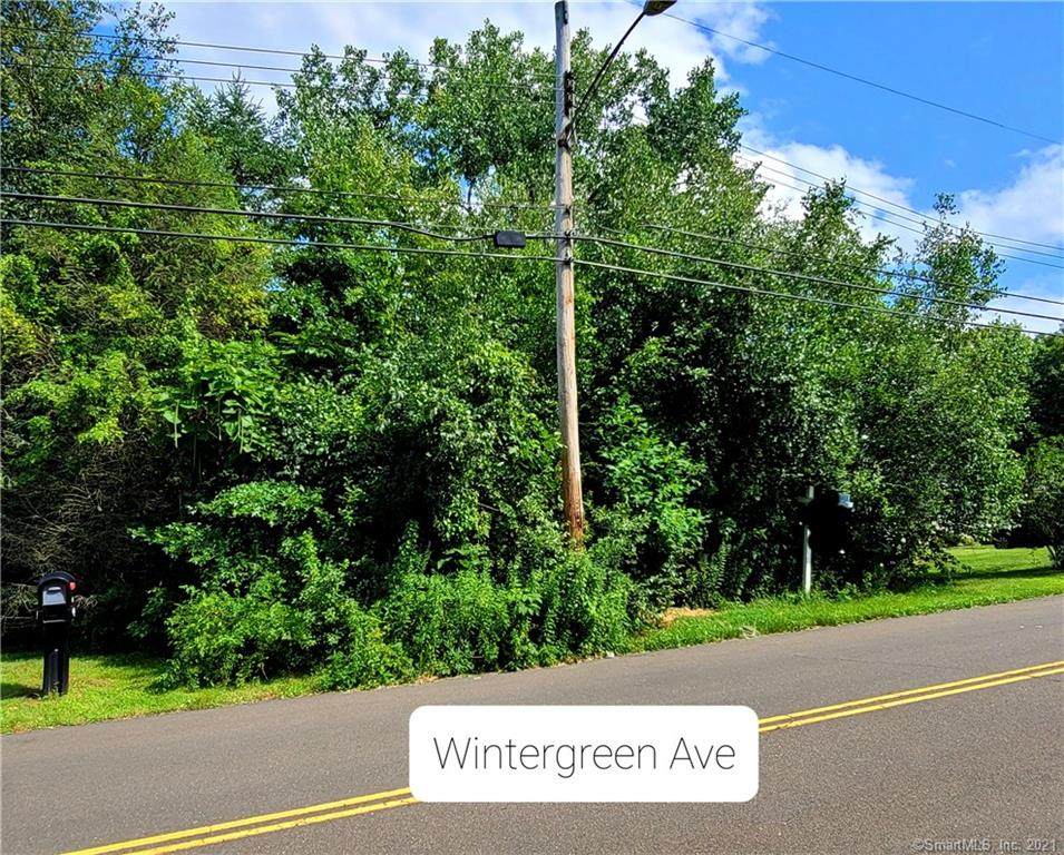 486 Wintergreen Avenue - Photo 1