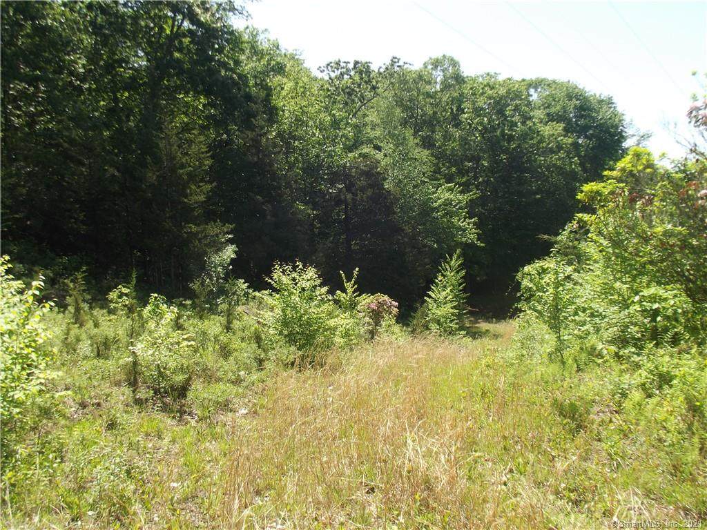 87 Brickyard Road - Photo 1