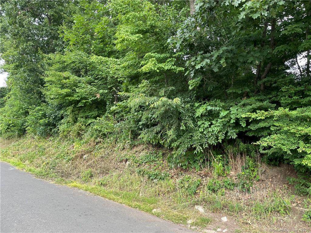 0 Van Orman Street - Photo 1