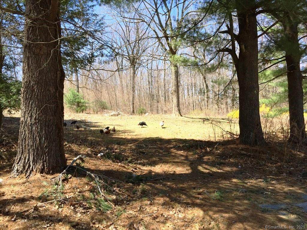 159 Campville Road - Photo 1