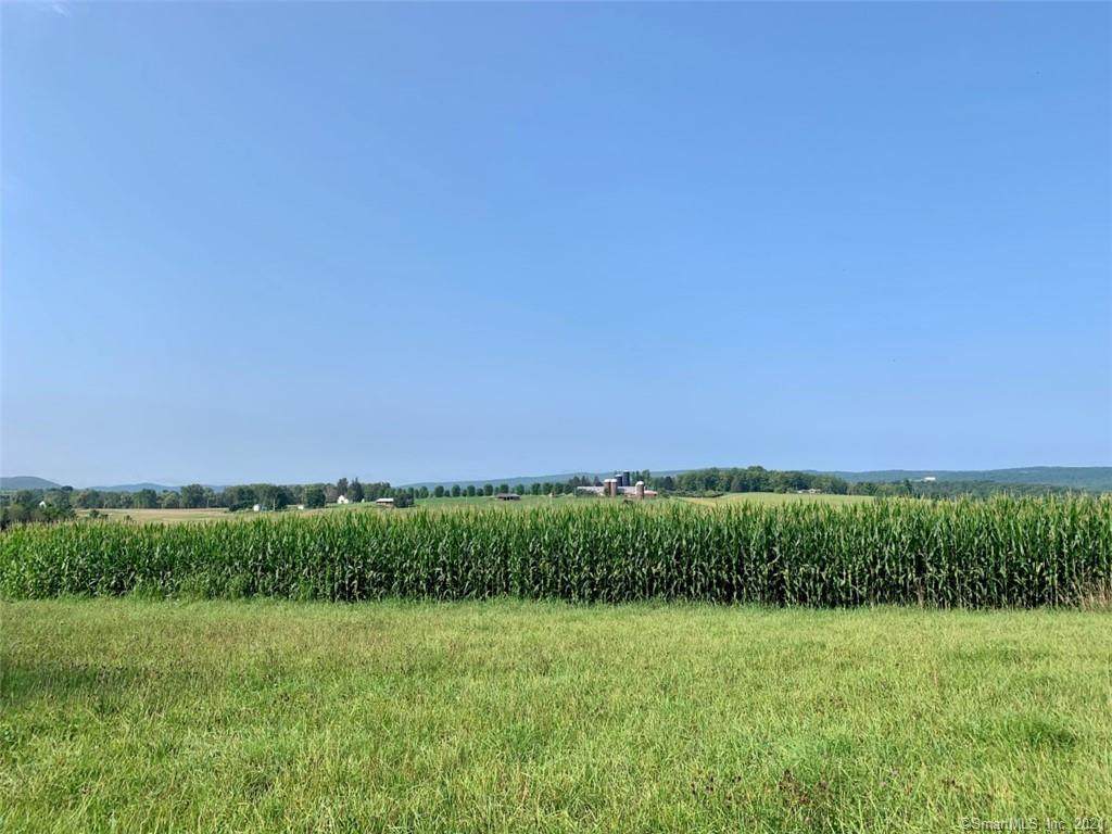 0 Millerton Road - Photo 1