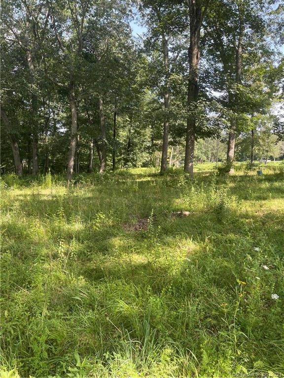544 Colonel Ledyard Highway - Photo 1