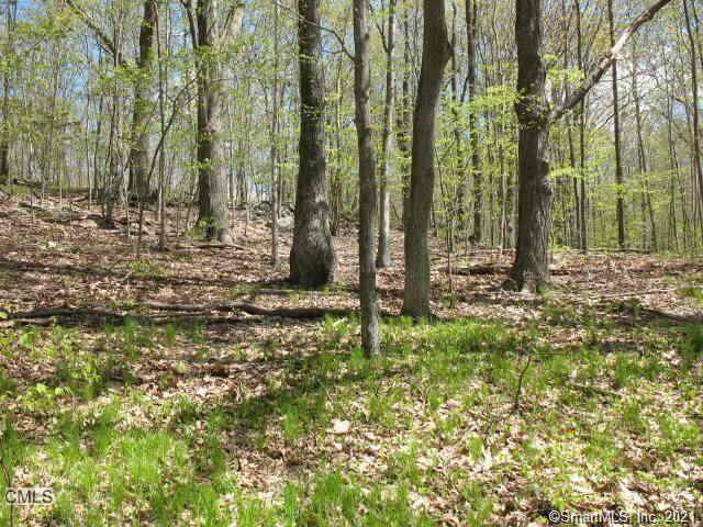 Lot 10 Appalchian Road - Photo 1