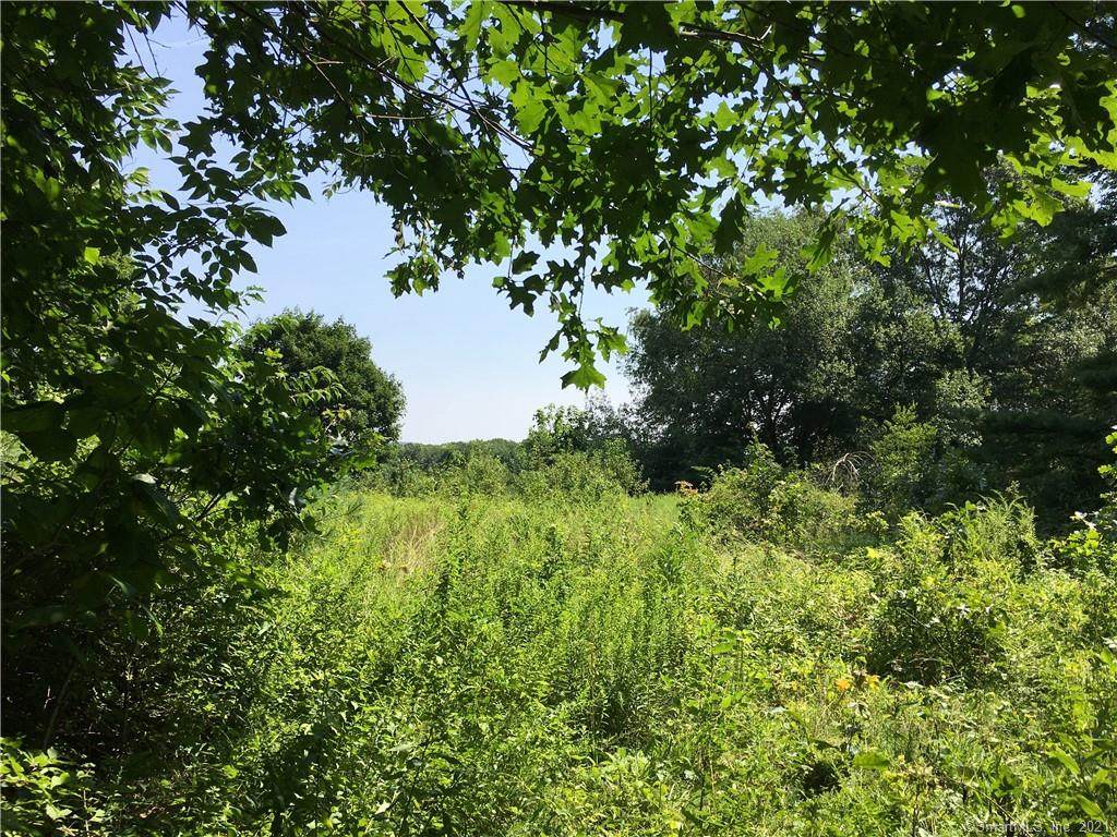 8480 Meadow Road - Photo 1