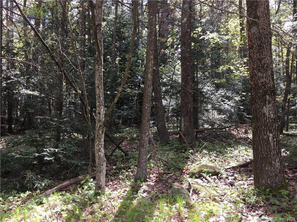 110 Minor Road - Photo 1