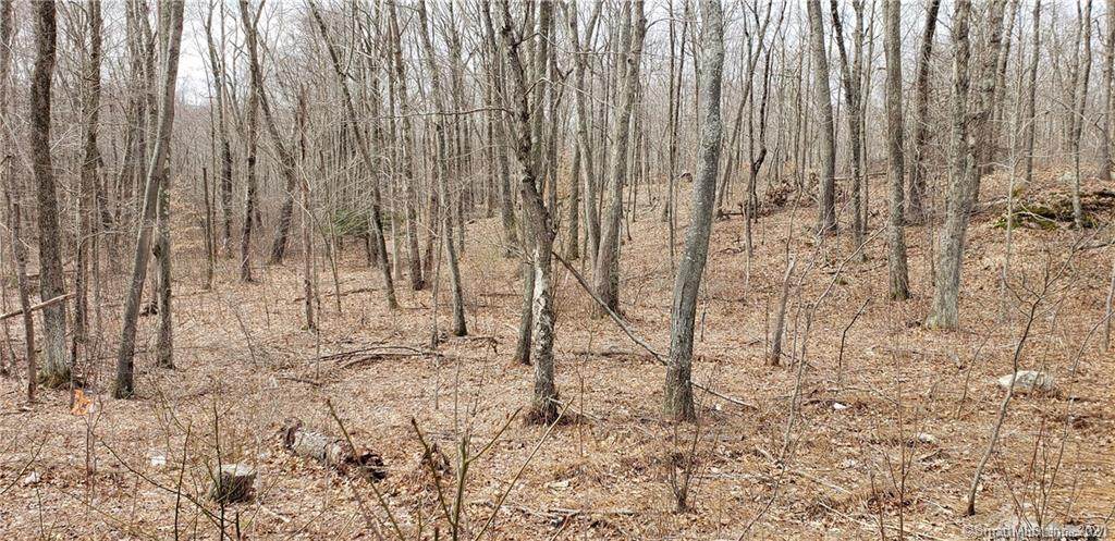 849 A Middletown Road - Photo 1