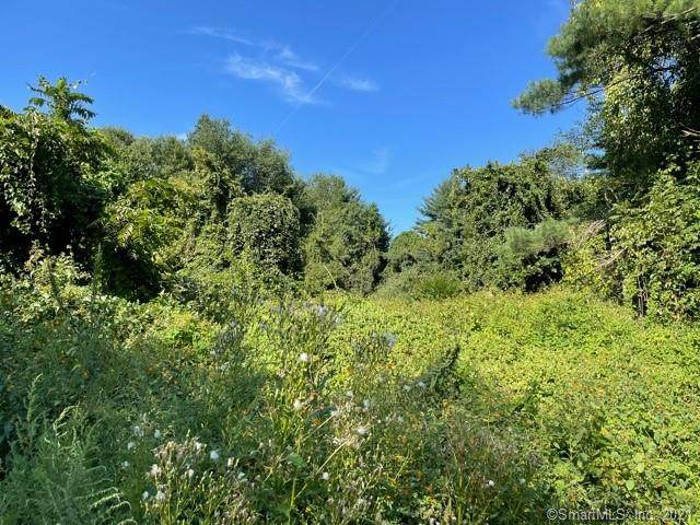 895 Monroe Turnpike - Photo 1