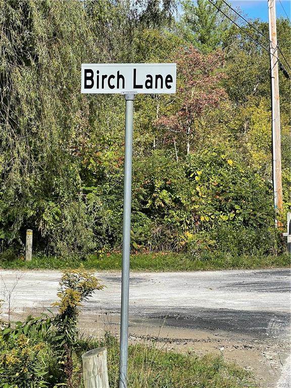 Lot #5 Birch Lane - Photo 1