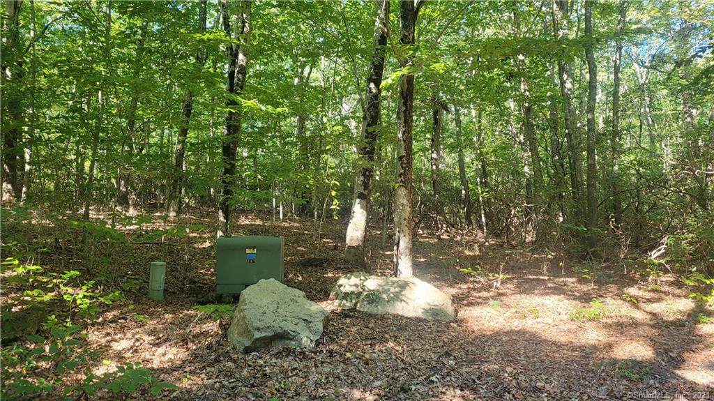 68 Town Woods Road - Photo 1