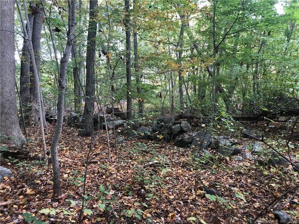983 Boston Post Road - Photo 1