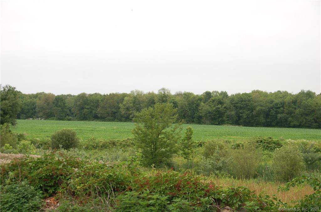 0 Pendleton Hill Road - Photo 1