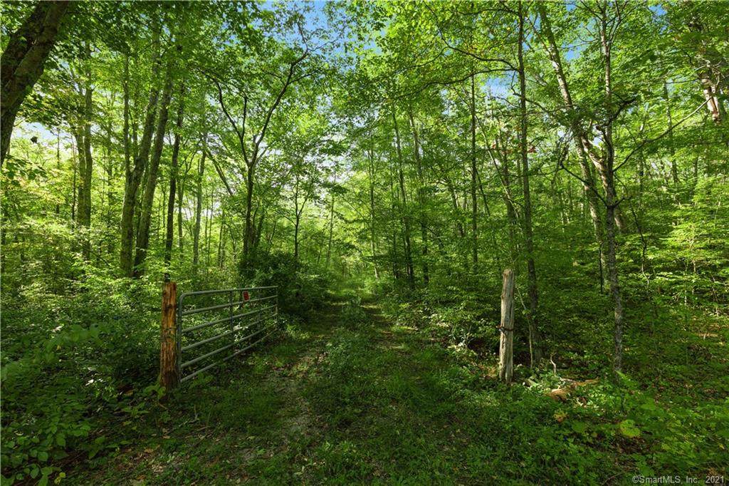 119 Lewis Road - Photo 1
