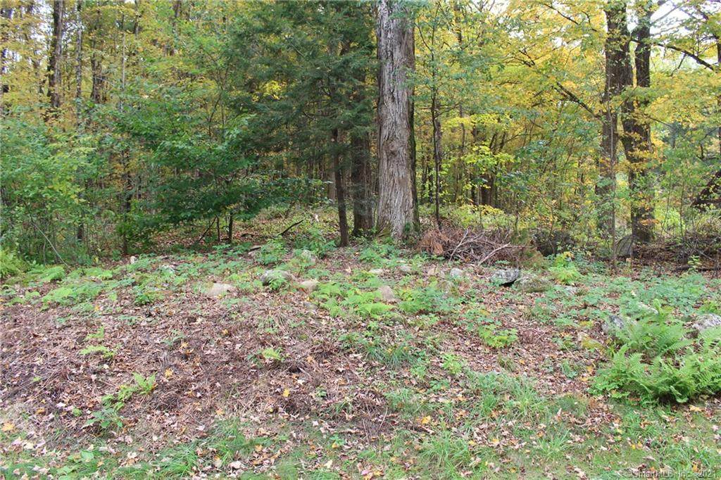 00 Riverton Road - Photo 1