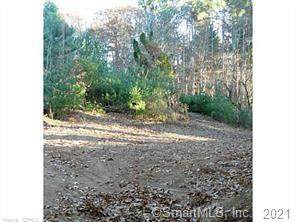 600 Lydall Street - Photo 1