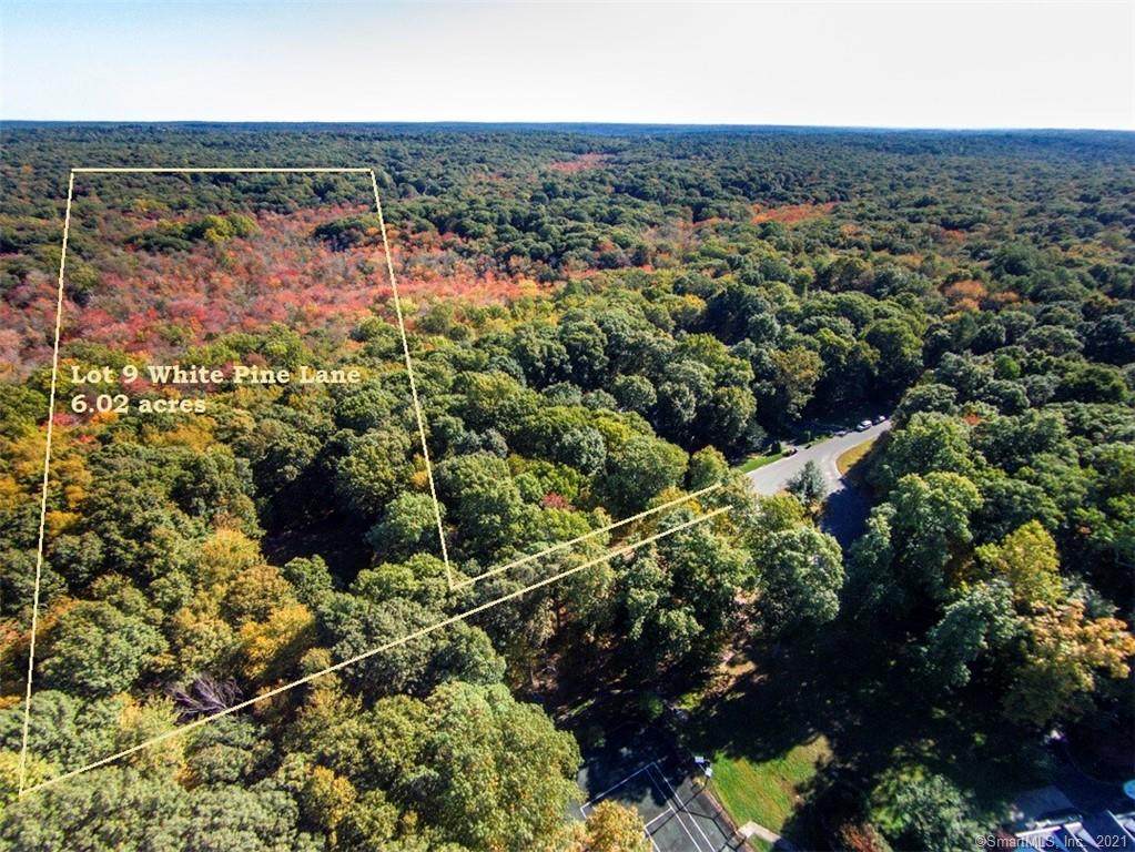 00 White Pine Lane - Photo 1