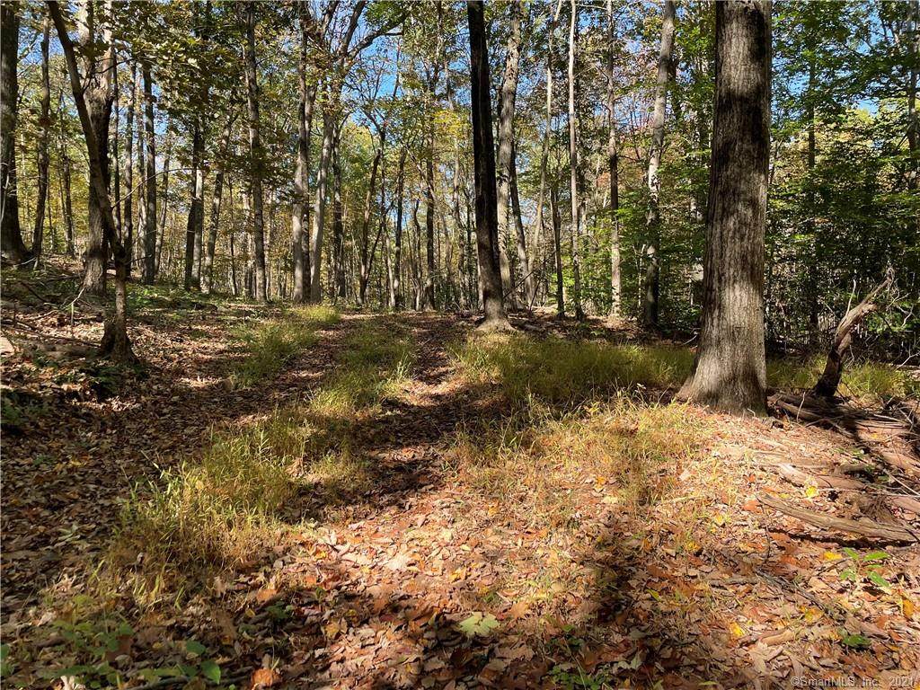 10.3/99 Wamaset Road - Photo 1