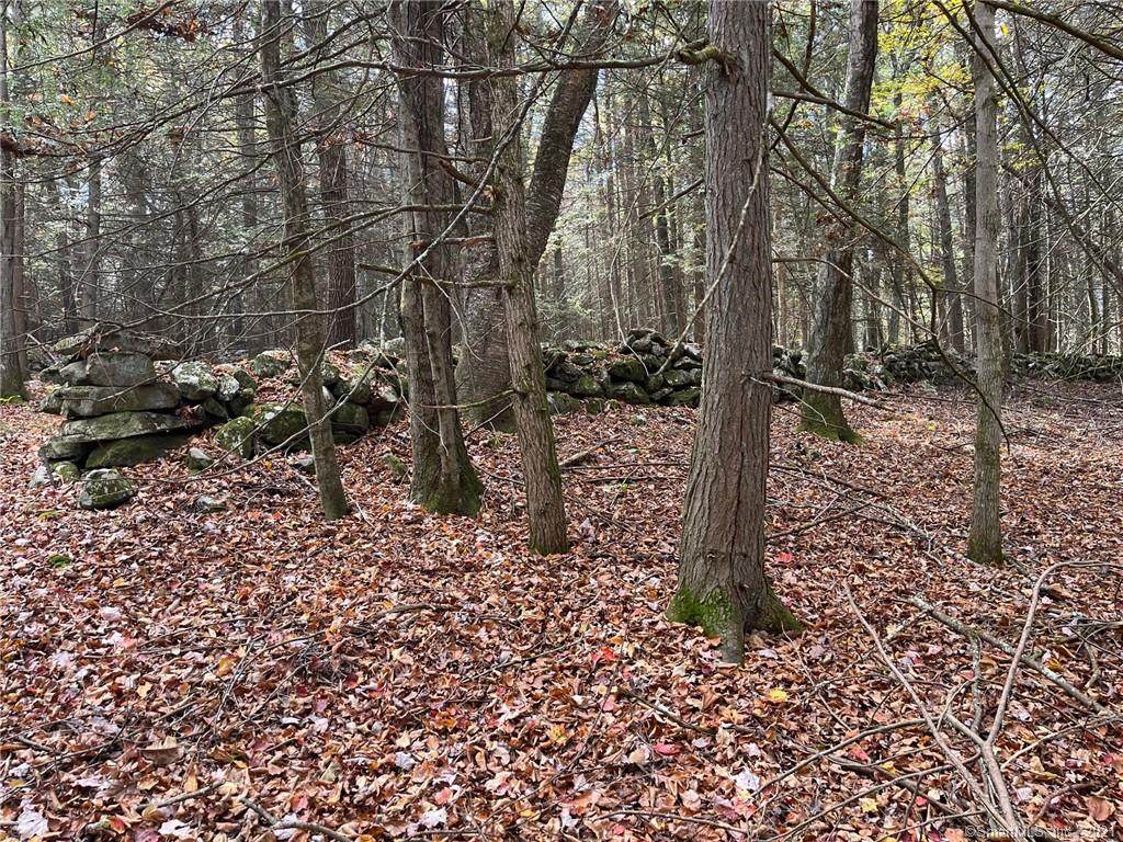 00 Baker Road - Photo 1