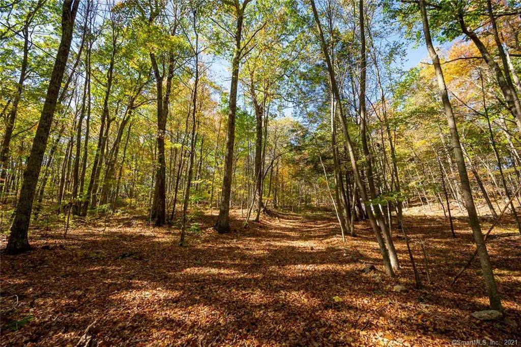 Lot2&3 Clint Eldredge Rd - Photo 1