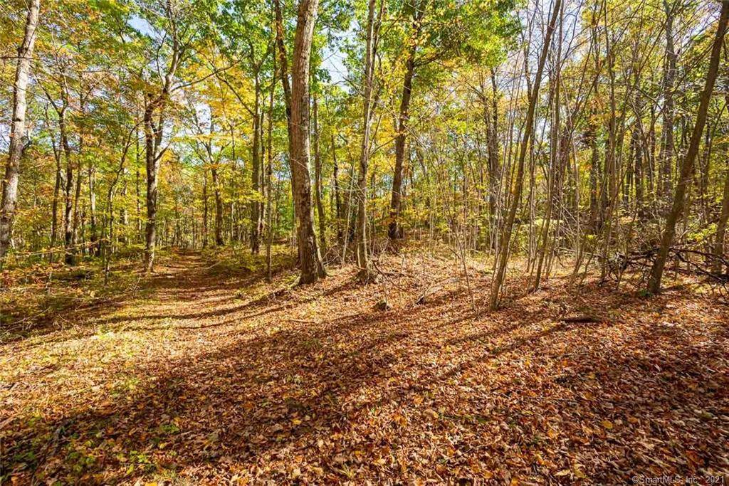 Lot 1 Mirtl Road - Photo 1