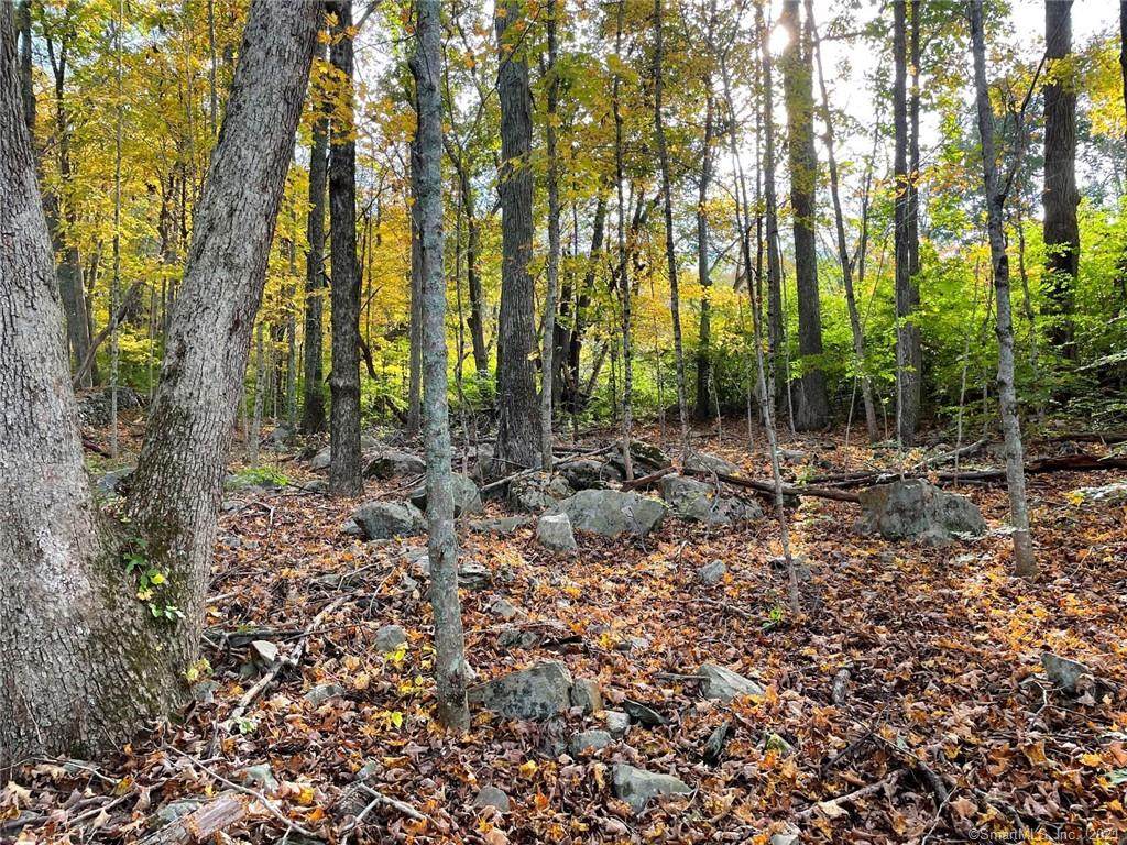 Lot #5 John Perry/Eastford Rd - Photo 1