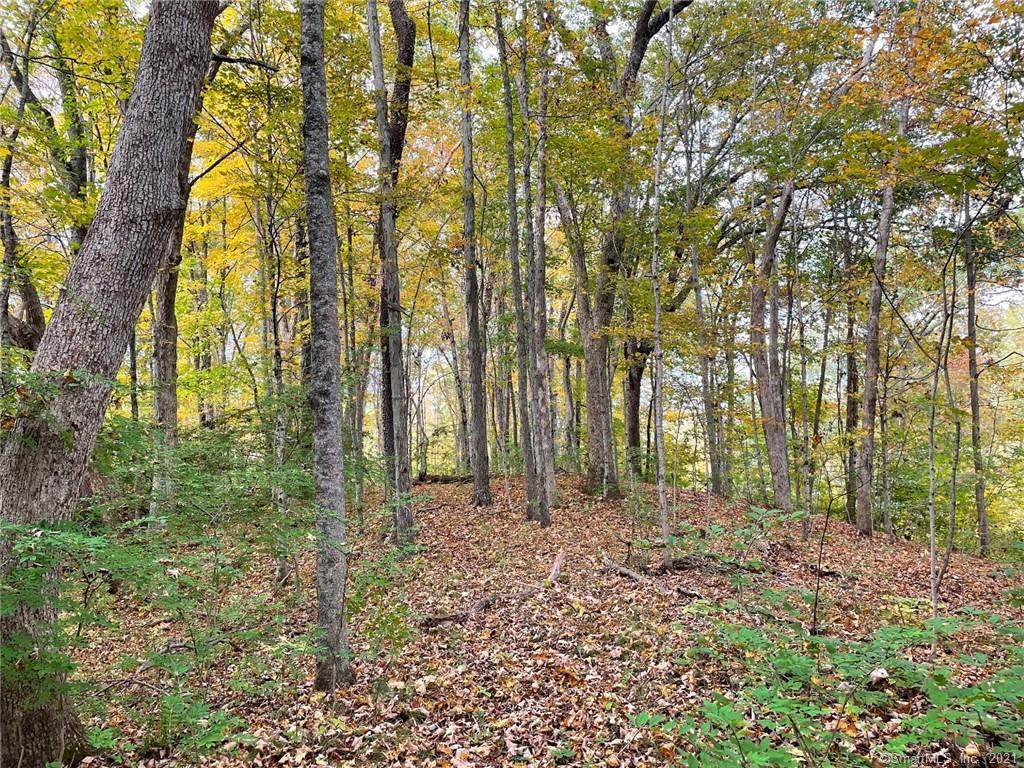 Lot #6 John Perry/Eastford Rd - Photo 1