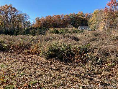 672 Vernon Street - Photo 1
