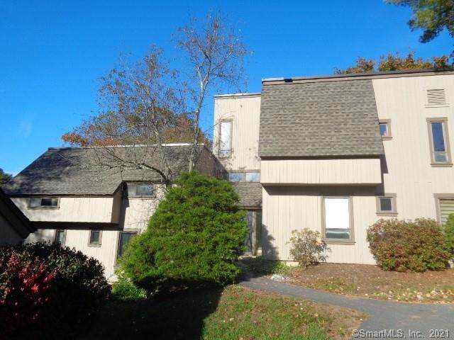 17 Crocus Lane - Photo 1