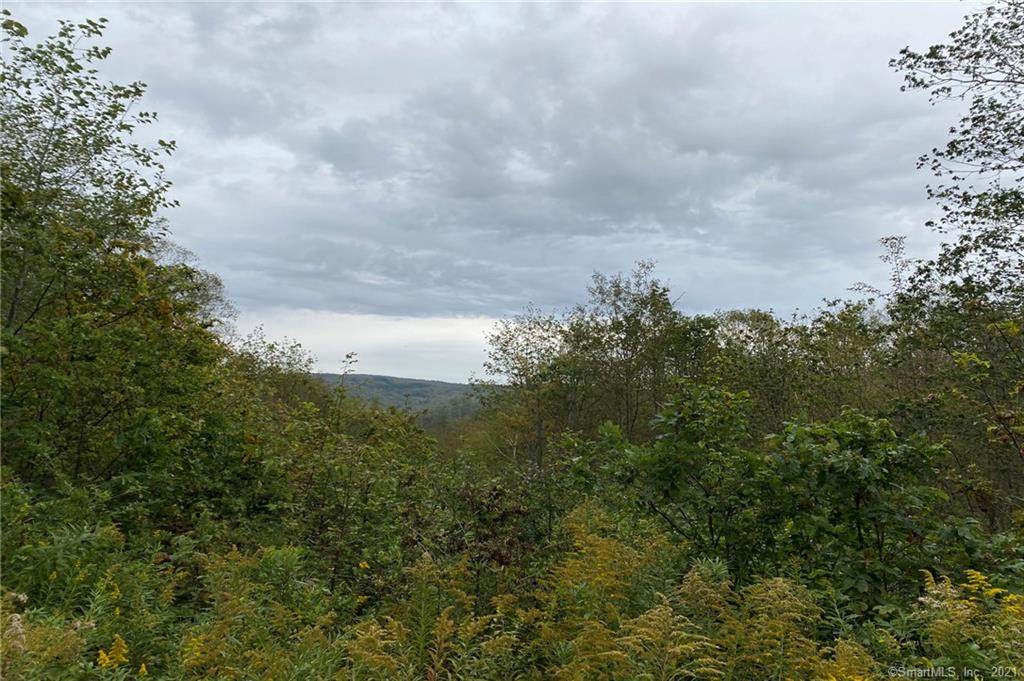 000 Swaller Hill Road - Photo 1