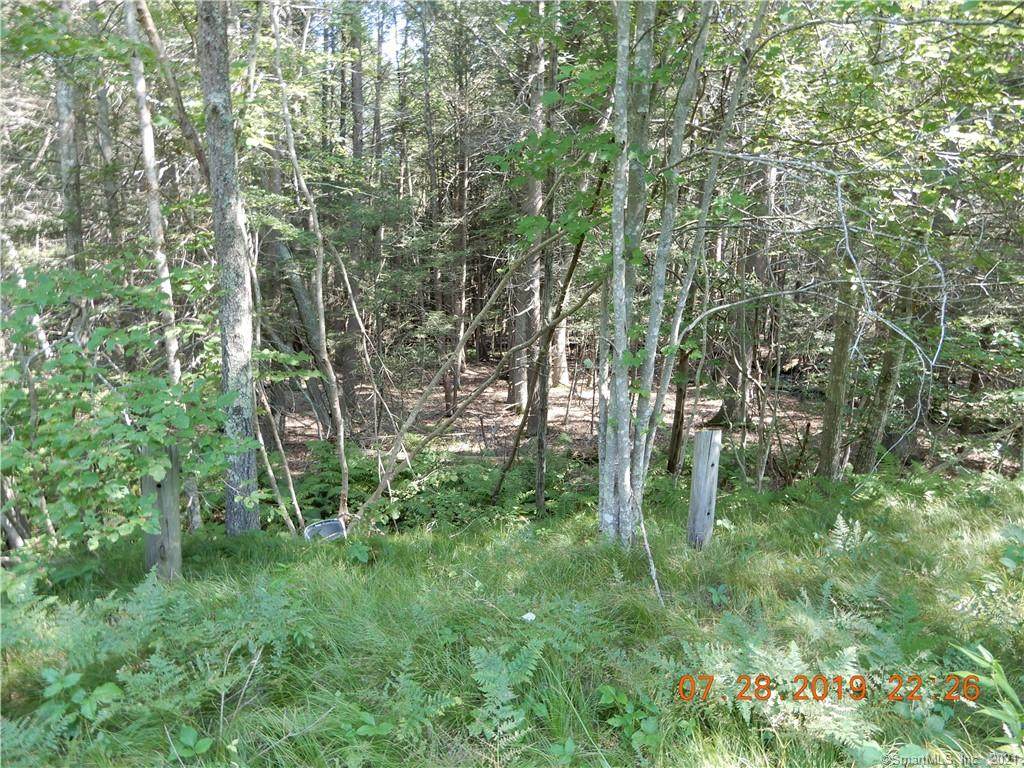 6 Bear Hill Road - Photo 1