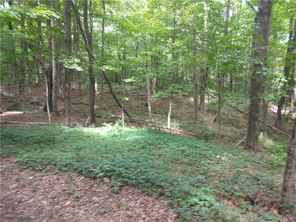 00 Campville Road - Photo 1
