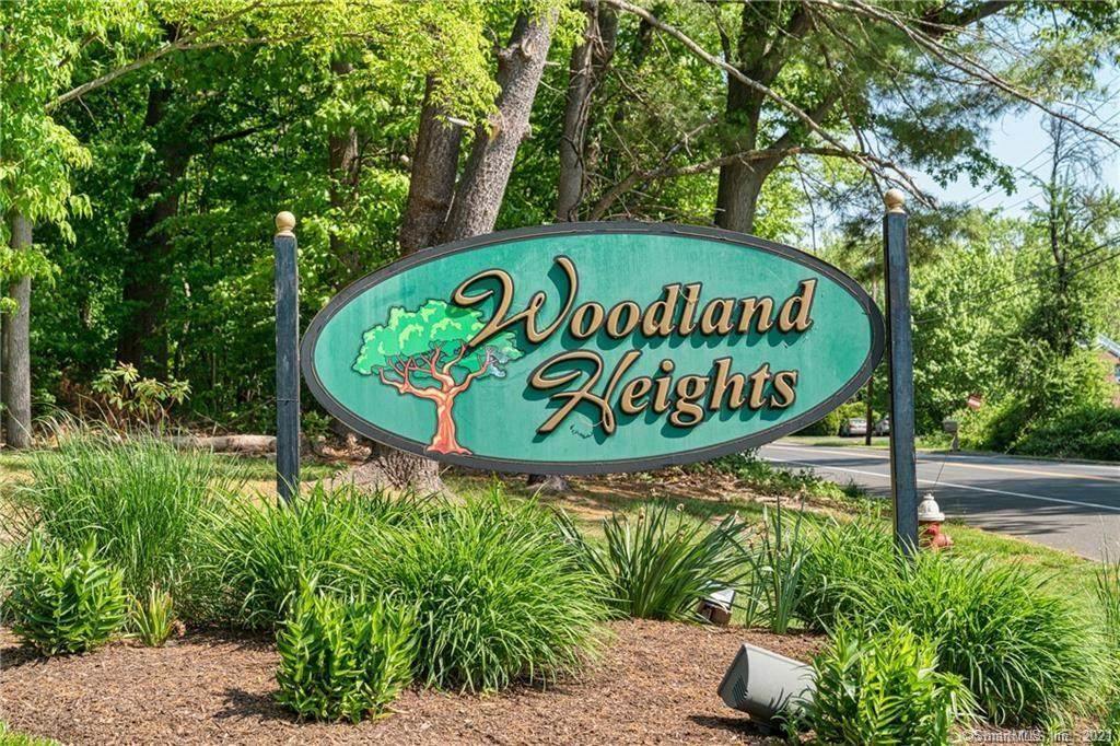 161 Woodland Drive - Photo 1