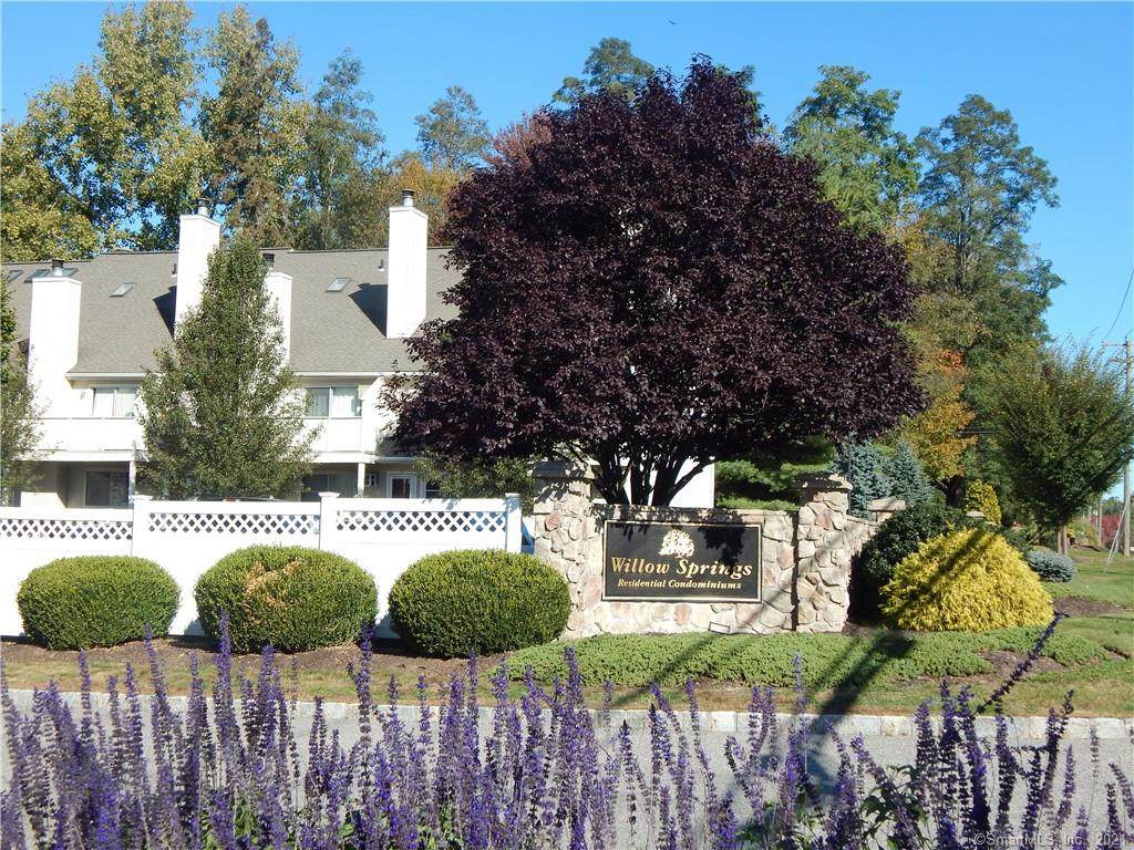 315 Willow Springs - Photo 1