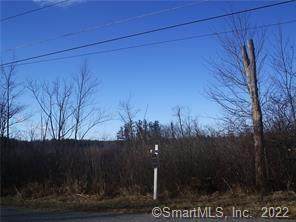 100 Quarry Road - Photo 1