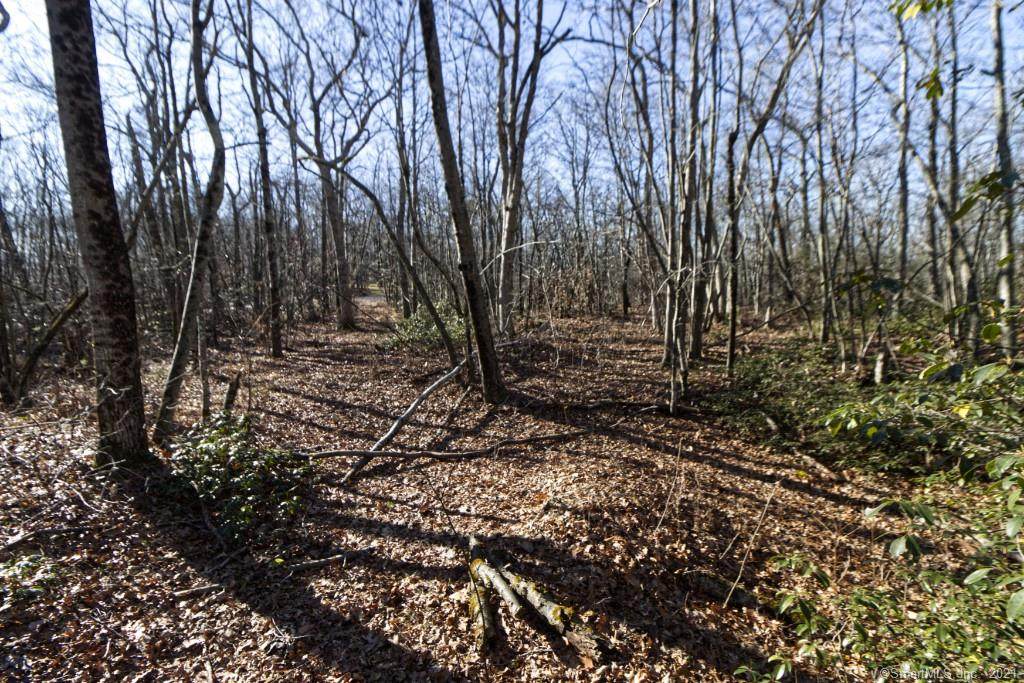 0 Carter Road - Photo 1