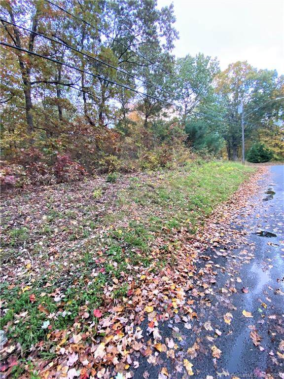 190 Blueberry Hill Road - Photo 1