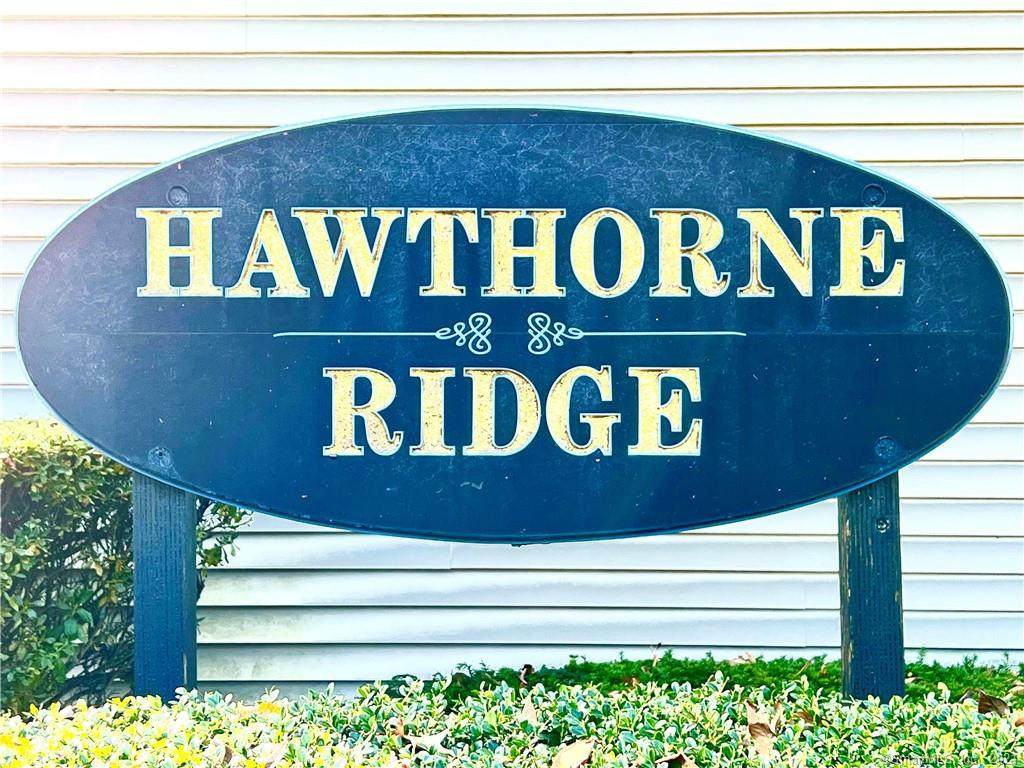 16 Hawthorne Ridge Circle - Photo 1