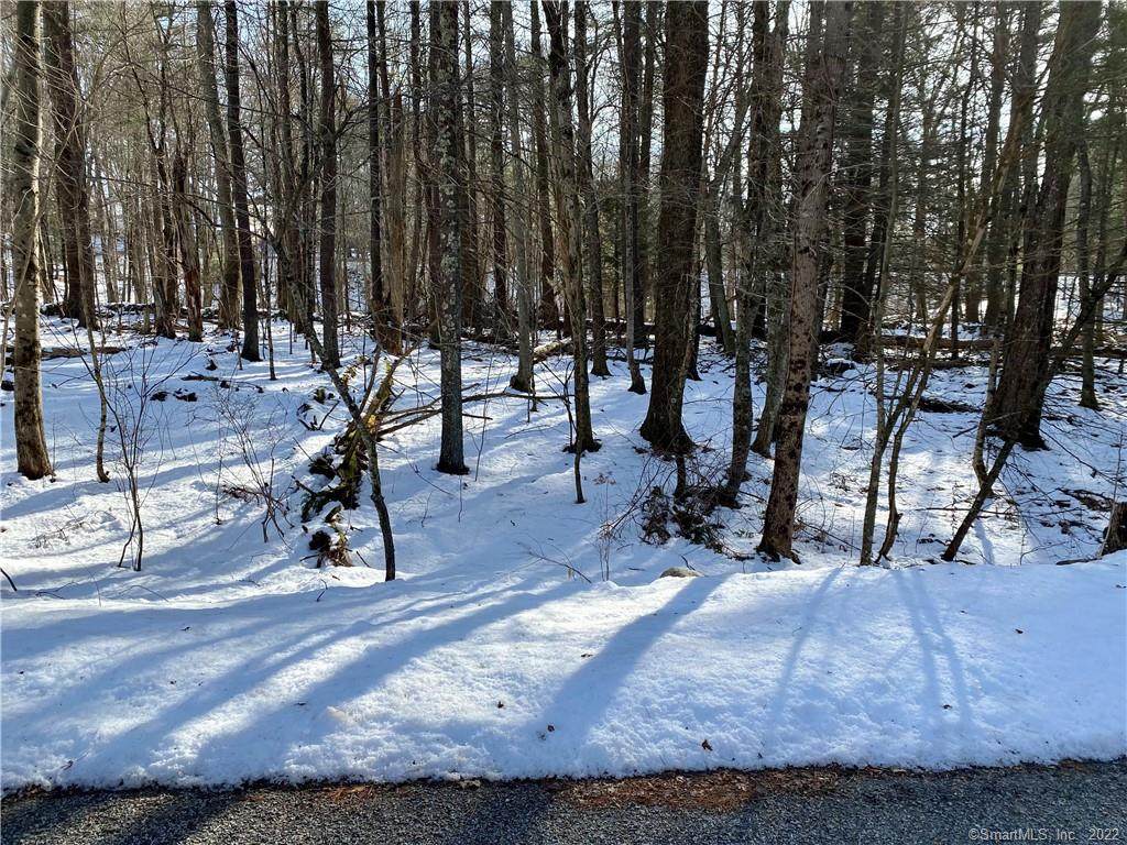 33 Rhode Island Line Road - Photo 1