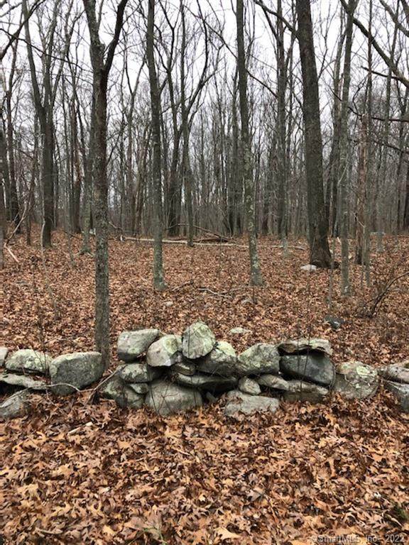 00 Ridge Hill Road - Photo 1