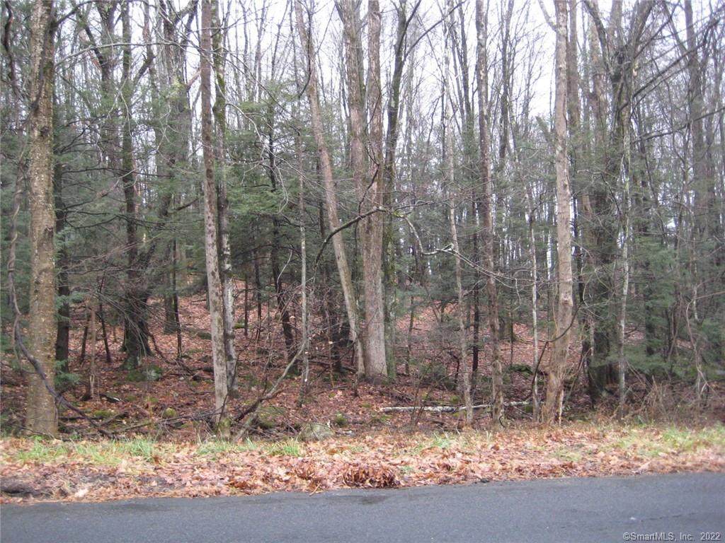 31 West Hill Road - Photo 1