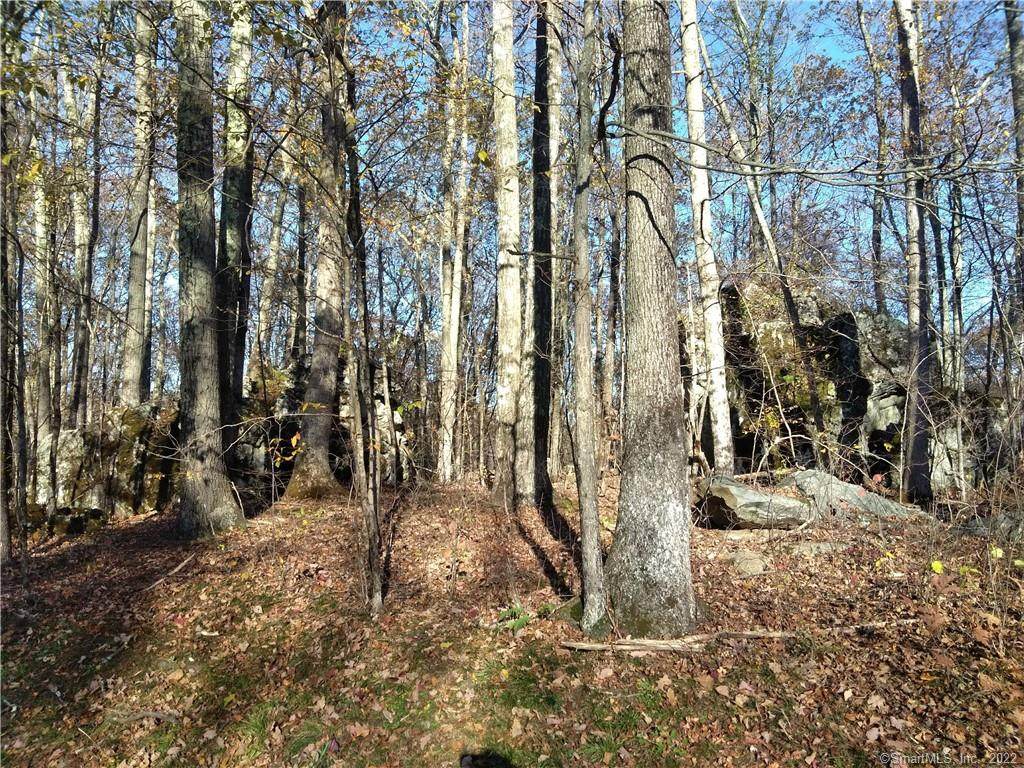 00 Aspen Hill Drive - Photo 1